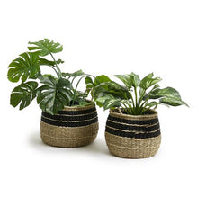 Load image into Gallery viewer, George &amp; Mason - Manley Basket - Set 2
