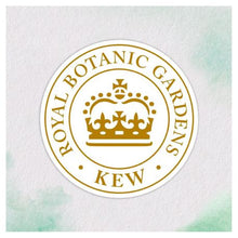 Load image into Gallery viewer, Herbal Essences - Shampoo - Hydrate - 400ml
