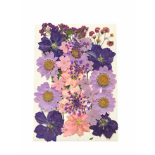 Load image into Gallery viewer, Dried _ Pressed Flowers - Purple &amp; Pink Small
