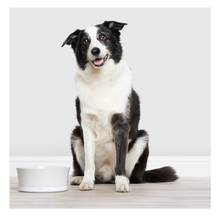 Load image into Gallery viewer, Husky Dog Food Smokey Joe Meaty Strips in Smokey Chicken (6 cans x 775g)
