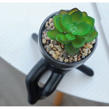 Load image into Gallery viewer, Garden Pot Plant Succulent Set of 4
