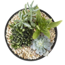 Load image into Gallery viewer, Garden Pot Plant Decorative Pebble Stones Set of 6Kg
