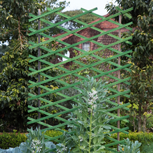 Load image into Gallery viewer, Expanding Trellis Green 900mm
