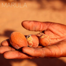 Load image into Gallery viewer, Africa Organics Marula Conditioner -1L
