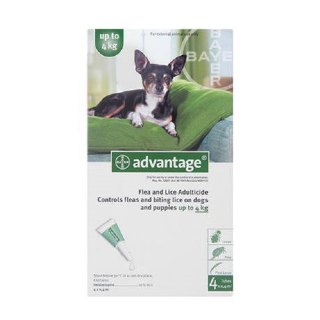 Advantage Small Dogs 4x0.4ml (0-4kg) Green Buy Online in Zimbabwe thedailysale.shop