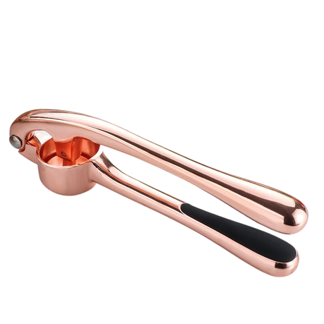 Handheld Garlic Squeezer Presser Tool