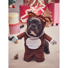 Load image into Gallery viewer, Pet 'Walking' Christmas Reindeer Costume with Arms and Hat
