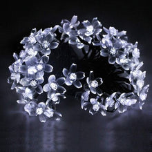Load image into Gallery viewer, Cherry Blossom m Solar Power LED Strap (CB-7-50-CW)
