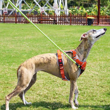 Load image into Gallery viewer, ECO Pet Brush, Dog Bowl, Green Leash, Dog Poop Bags Combo Set
