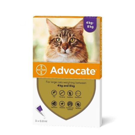 Advocate Large Cat 3 x 0.8ml - 4kg+ Purple Buy Online in Zimbabwe thedailysale.shop