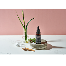 Load image into Gallery viewer, 1,5% Alpha Arbutin Serum with Niacinamide &amp; Bamboo extract | standard beauty
