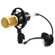 Load image into Gallery viewer, Andowl Microphone Condenser
