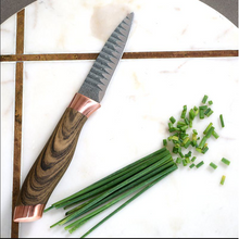 Load image into Gallery viewer, Stainless Steel 6 Pieces Knife Set - ER-0518
