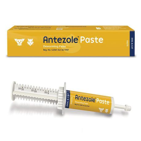 Antezole Deworming Paste (Dogs&Cats) 15ml Buy Online in Zimbabwe thedailysale.shop