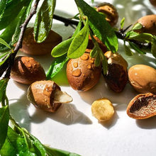 Load image into Gallery viewer, Herbal Essences - Conditioner - Repair - 400ml
