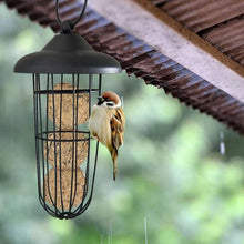 Load image into Gallery viewer, Pet Bird Feeder Hanging Automatic Dome
