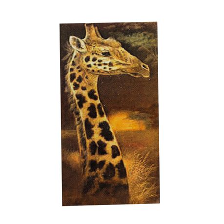 DIY-Full Drill- Giraffe -Diamond Dot Painting - 22x40cm Buy Online in Zimbabwe thedailysale.shop