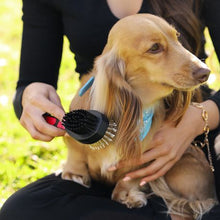 Load image into Gallery viewer, ECO Pet Brush, Dog Bowl, Green Leash, Dog Poop Bags Combo Set
