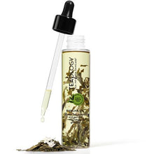 Load image into Gallery viewer, Teaology Bancha All Over Body Oil 100ml
