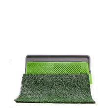 Load image into Gallery viewer, Rex Dog Toilet Large
