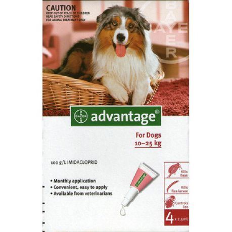 Advantage Large Dogs 4x2.5ml (10-25kg) Red Buy Online in Zimbabwe thedailysale.shop