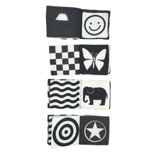 Load image into Gallery viewer, Baby's Very First Cloth Book
