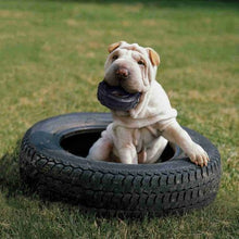 Load image into Gallery viewer, Tire Chew Chew Toy
