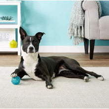 Load image into Gallery viewer, ZippyPaws ZippyTuff Squeaker Ball - Teal Small

