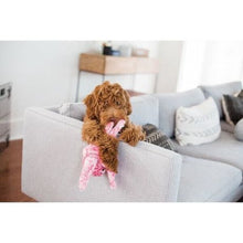 Load image into Gallery viewer, ZippyPaws Floppy Jelly
