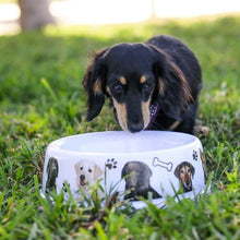 Load image into Gallery viewer, ECO Pet Brush, Dog Bowl, Green Leash, Dog Poop Bags Combo Set
