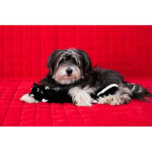Load image into Gallery viewer, Zippy Paws Zingy Skunk
