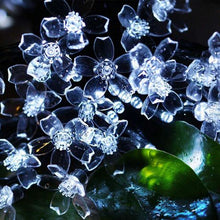 Load image into Gallery viewer, Cherry Blossom m Solar Power LED Strap (CB-7-50-CW)
