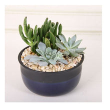 Load image into Gallery viewer, Garden Pot Plant Decorative Pebble Stones Set of 6Kg
