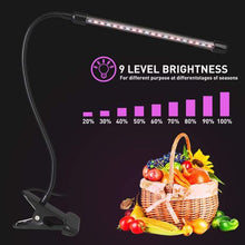 Load image into Gallery viewer, 10W Table Top LED Plant Growth Light HT-DTL10W
