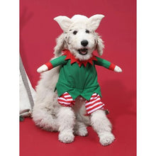 Load image into Gallery viewer, Pet 'Walking' Christmas Elf Costume with Arms - Medium
