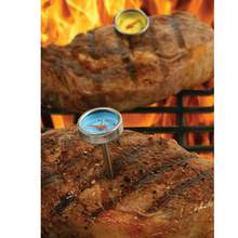 Load image into Gallery viewer, Lifespace Steak Button Thermometers - reusable 4 pack
