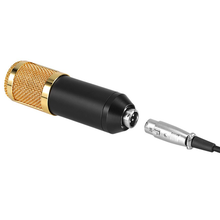 Load image into Gallery viewer, Professional Condenser Microphone Q-MIC3
