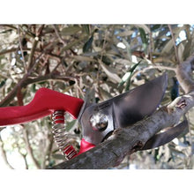 Load image into Gallery viewer, Carpa Professional Pruning Shear 46H21
