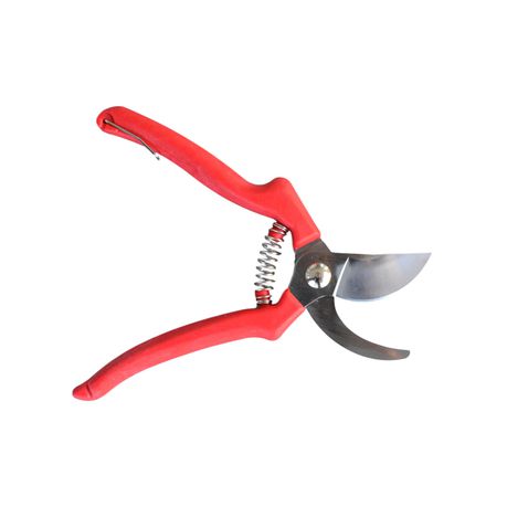 Carpa Professional Pruning Shear 46H21 Buy Online in Zimbabwe thedailysale.shop