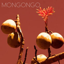 Load image into Gallery viewer, Africa Organics Mongongo Conditioner - 200ml
