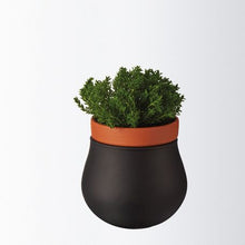 Load image into Gallery viewer, Leonardo Plant Pot Planter Black with Pot Insert SERRA Small – 2 Pieces
