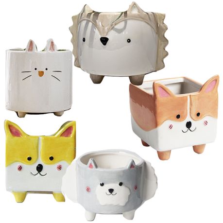 Garden Pot Plant Succulent Set of 5 Animals Buy Online in Zimbabwe thedailysale.shop