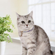 Load image into Gallery viewer, ECO Cat Bowl, Cat Collar, Blanket, Catnip Ball, Cat Scratcher
