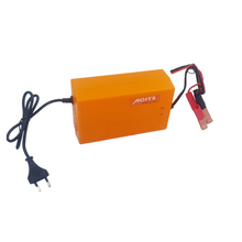 Load image into Gallery viewer, 12V 20A Intelligent Pulse Charger
