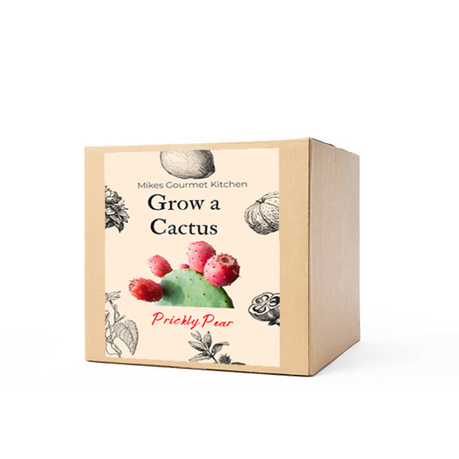 Cactus Grow Kit - Prickly Pear Buy Online in Zimbabwe thedailysale.shop