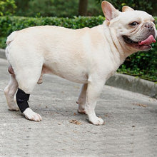 Load image into Gallery viewer, Portable Pet Leg Injury Anti-Infection Fixed Auxiliary Recovery Strap - L
