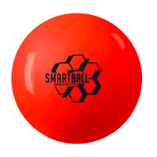Load image into Gallery viewer, SmartBall
