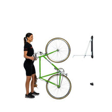 Load image into Gallery viewer, Steadyrack - Bike Rack - Classic Rack
