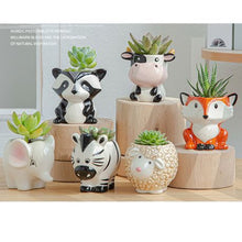 Load image into Gallery viewer, Pot Plant for Succulent Novel Animal 6 Set

