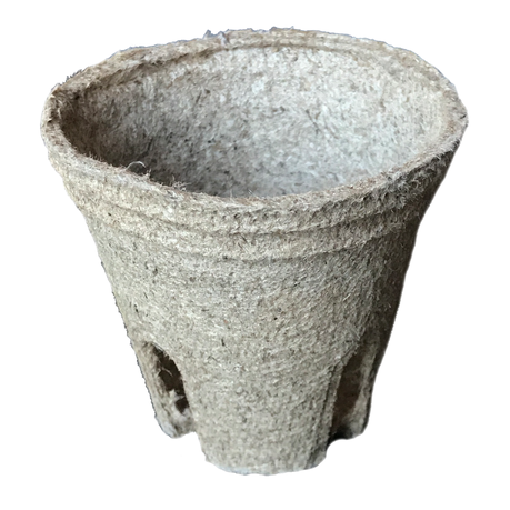 Jiffy 6cm Biodegradable Grow Cups - Pack of 30 Buy Online in Zimbabwe thedailysale.shop